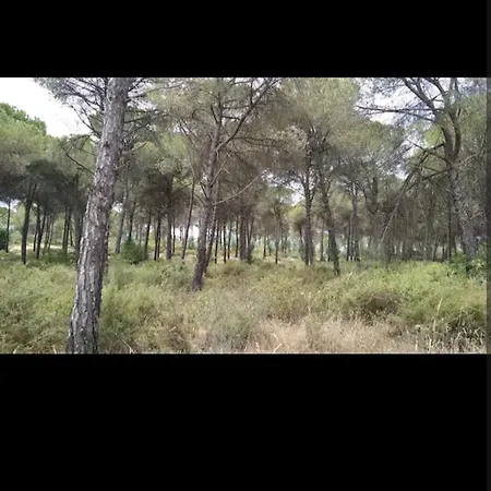 Luksusowy namiot Caravana Acogedora Con Piscina 