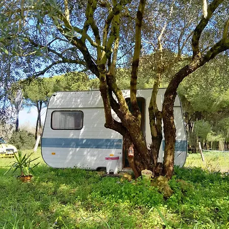 Caravana Acogedora Con Piscina 